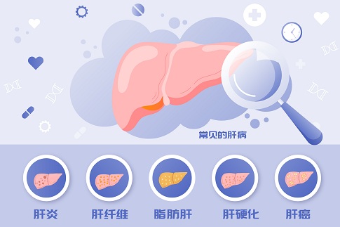 1654703515141074.jpg 攝圖網(wǎng)_402142207_全國(guó)愛(ài)肝日常見(jiàn)肝病矢量插畫(huà)(企業(yè)商用).jpg
