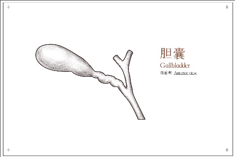 ޸ĳߴ (10).jpeg