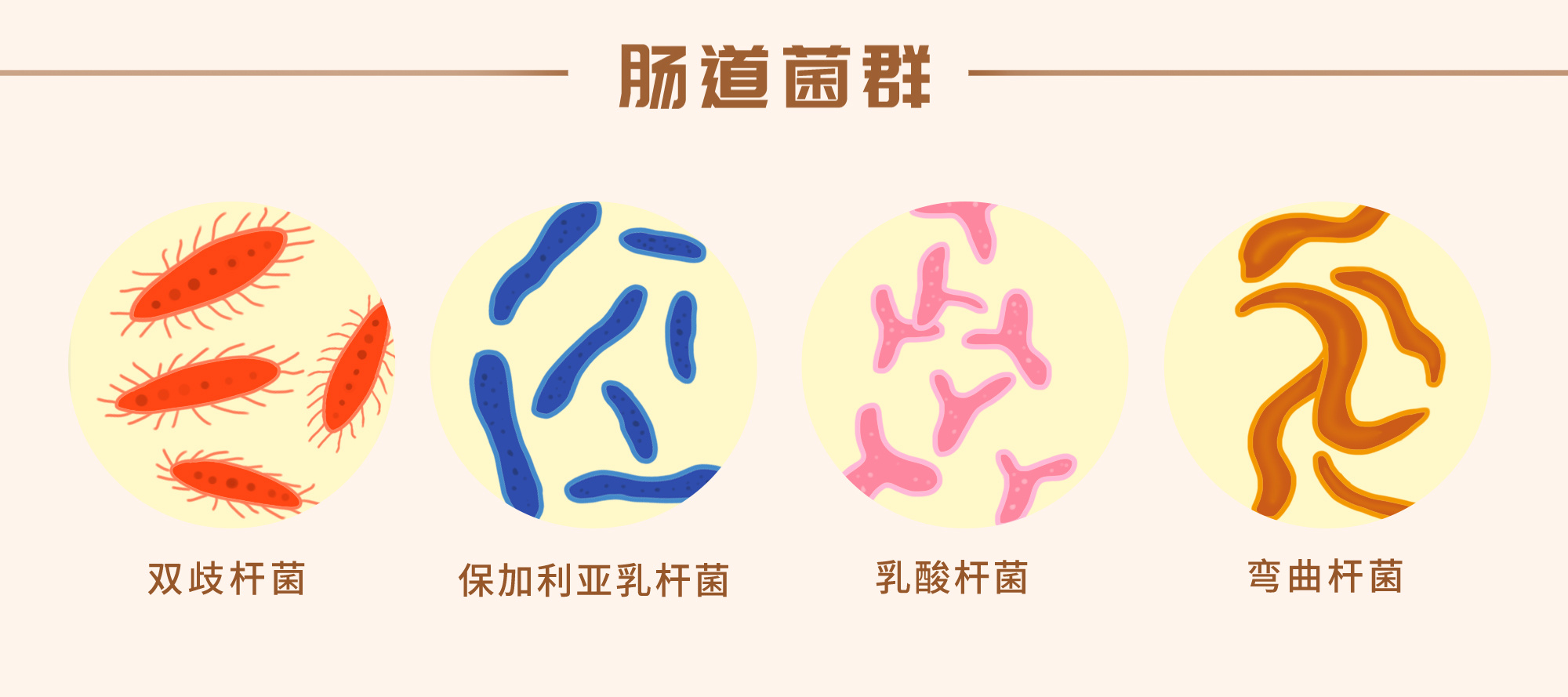 1755909894481006.jpg