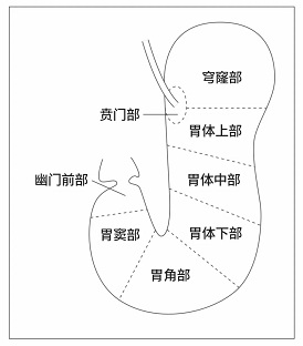 ΢ňDƬ_20250828074442.jpg